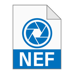 Modern flat design of NEF file icon for web