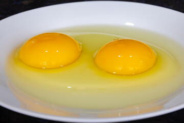 Raw egg with two yolks in white plate on dark background and selective focus. closeup