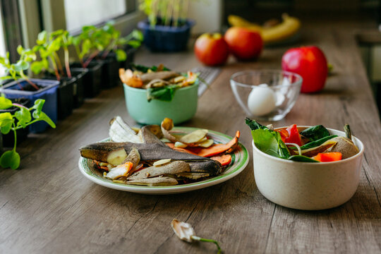 Vegetable peelings and eggshells on the plate and in bowls