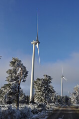 &Eacute;oliennes sur le Plateau Ard&eacute;chois