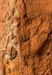 Sedimentary rocks with a high content of iron oxide. Red soil, loam. The texture of the soil.