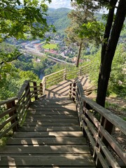 wooden bridge in the forest