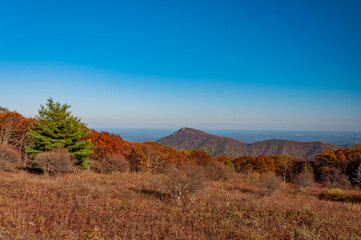 Old Rag Mountain in Late October, Virginia