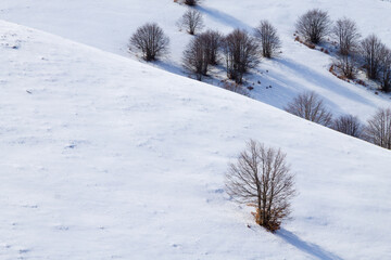 Winter landscape with snow from Alps