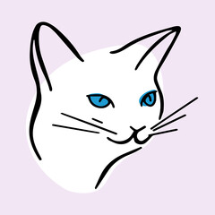 Cat portrait on white background. Closeup portrait.