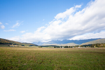 Cansiglio woodland autumn view. Nature landscape