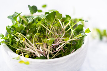 Microgreens