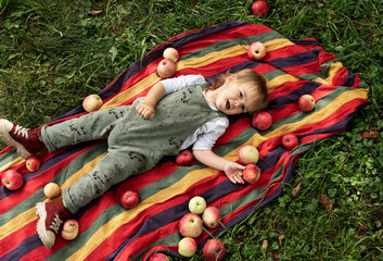 A small child lies in the garden on a bedspread, apples are scattered around