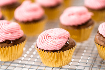 Chocolate raspberry cupcakes