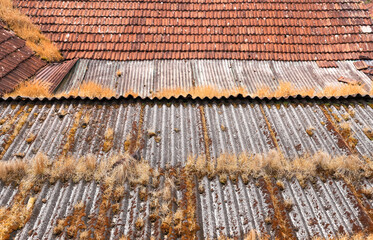View of aged roof, made with metal sheets and tiles with growth of moss and plants.