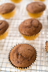 Chocolate raspberry cupcakes