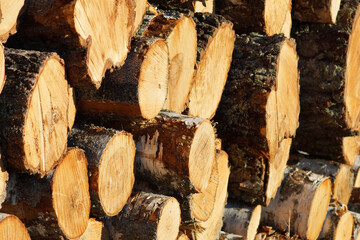 stack of firewood