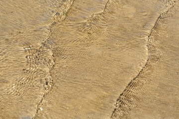 Pattern of ripples as shallow waves wash across the sandy shore. Coochiemudlo Island, Queensland, Australia 
