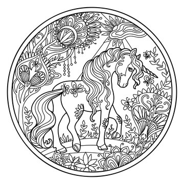 Beautiful unicorn on a nature circle coloring vector