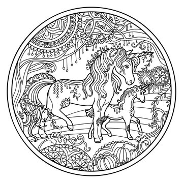 Beautiful unicorn and foal circle coloring vector