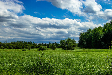 Road side Elk Island National Park Alberta Canada