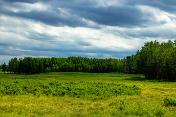 Road side Elk Island National Park Alberta Canada