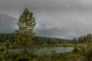 Rain settles over Silverthorn Creek Banff National Park Alberta Canada
