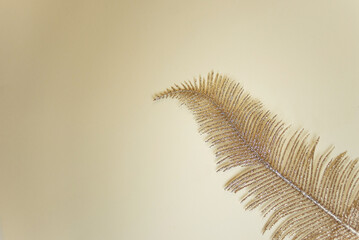 Beige background with golden fern branches. Palm branches in golden glitter. Golden Feathers