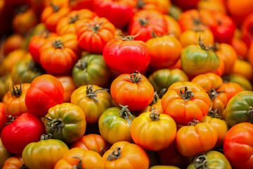 Fresh Colorful Tomatoes For Sale, Bologna, Italy