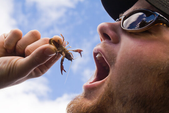 A fly fisherman jokes about eating a small crawfish he found in the Cle Elum River near Cle Elum, Washington.