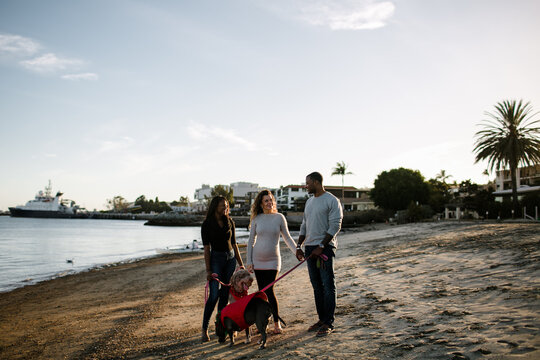 Blended family standing with dogs on beach at sunset