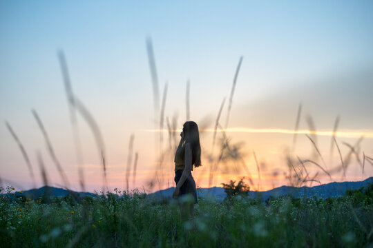 A Silhouette Of Women In A Flower Garden Where The Sun Sets.