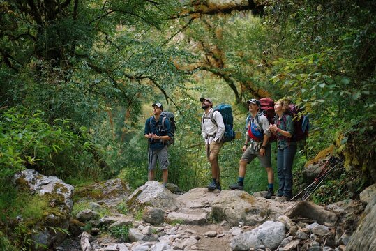 Four people looking up during rest on trek through the jungle