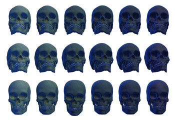 skull human,  skeleton