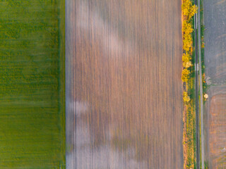 Aerial shot of the agricultural fields, beautiful straight agricultural rows, cultivated area, drone shot at sunset - 559025243