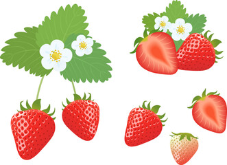 いちごのセット_ベクターイラスト