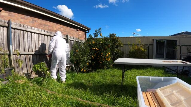 Father and daughter beekeepers with the white protective suit while collecting honey
Healthy organic farm honey.