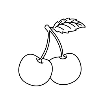 cherry vector illustration - Fresh cherry fruit. Cherry cartoon isolated.