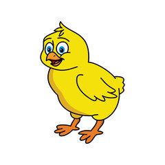 Chick vector illustration. Cartoon yellow chick. Chick hand draw isolated.