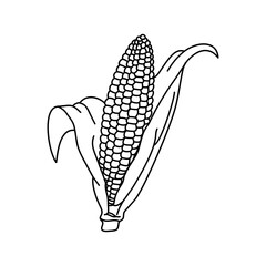 Corn hand drawn vector illustration. Cartoon corn. Corn isolated.