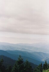 fog in the mountains