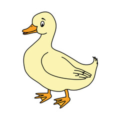 Duck vector illustration. Cute cartoon duck. Duck hand draw isolated.