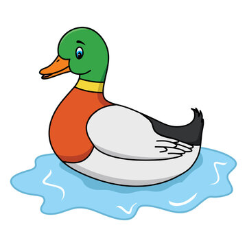 Duck vector illustration. Cute cartoon duck. Duck hand draw isolated.