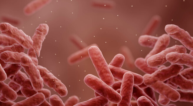 Bacteria gaining drug resistance (antibiotic resistance)