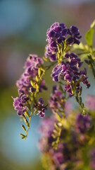 Draping Purple Flowers