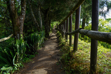 Wooden bridge in the forest, December 2022, El Boqueron, El Salvador 