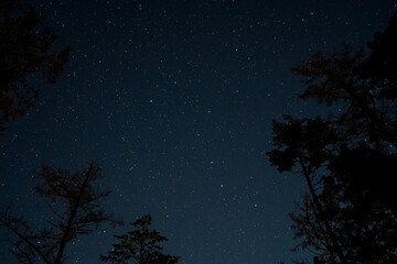 北斗七星が輝く冬の星空