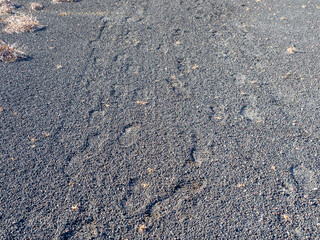 伊豆大島の裏砂漠の足跡（東京都大島町）