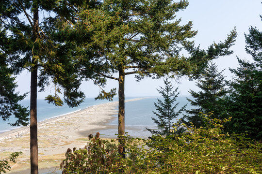 Dungeness Spit