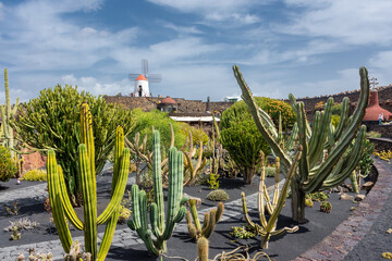 Lanzarote, Spain, 19 March 2022 : The Cactus Garden, called 