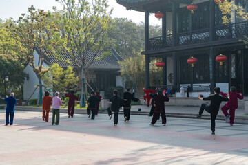 Obraz premium Taijiquan in the park in the morning