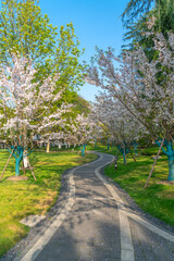 The flowers in the park are full of flowers