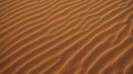 Sand ripples on a moroccan Sahara erg, near the settlement of Merzouga.