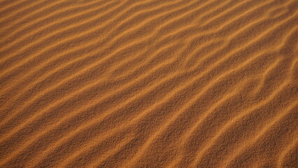 Sand ripples on a moroccan Sahara erg, near the settlement of Merzouga.