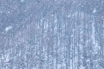 雪化粧をした山
